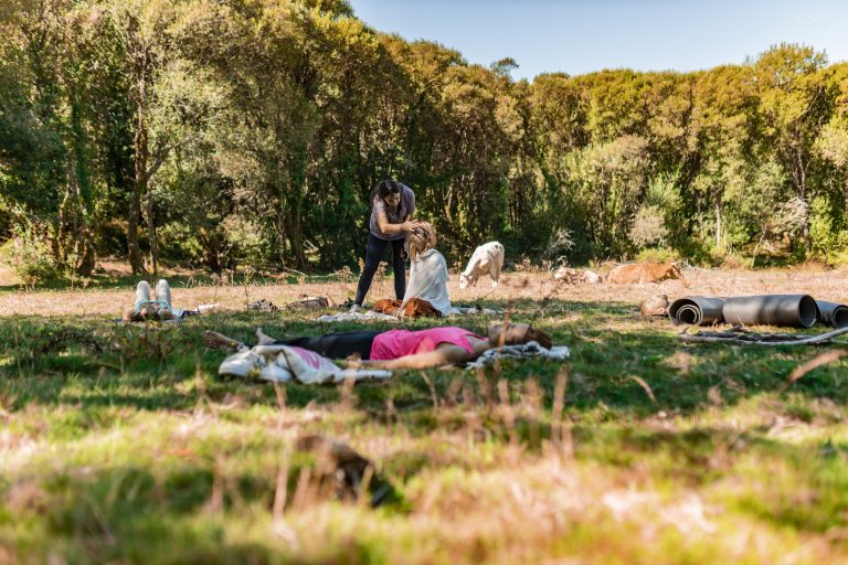 Festival Consciente en Pontevedra Galicia, Ámala