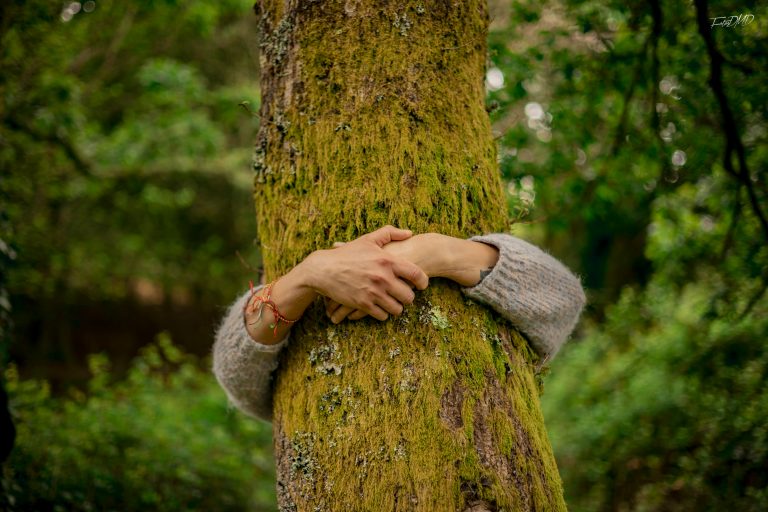 Evento consciente en Pontevedra Ámala EcoFest
